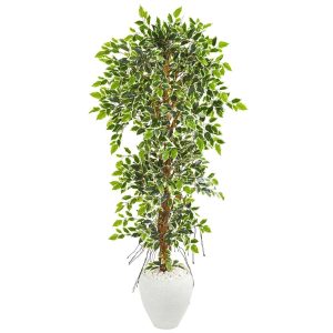 Ficus Trees | 5.5' Elegant Ficus Artificial Tree in White Planter Artificial Trees Ficus Trees