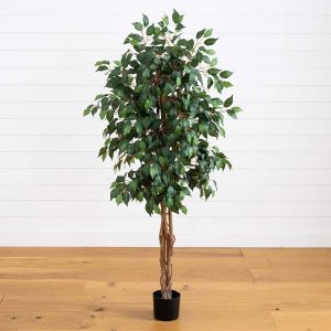 Ficus Trees | 5′ Ficus Silk Tree Artificial Trees Ficus Trees