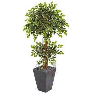 Ficus Trees | 5' Variegated Ficus Artificial Tree in Slate Planter Artificial Trees Ficus Trees