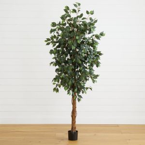 Ficus Trees | 6′ Ficus Silk Tree Artificial Trees Ficus Trees