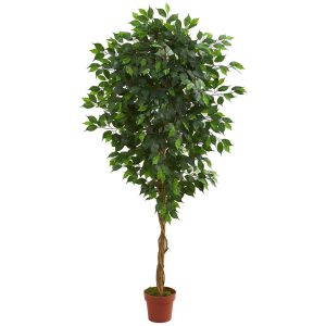 Ficus Trees | 6’ Ficus Artificial Tree in Nursery Planter Artificial Trees Ficus Trees