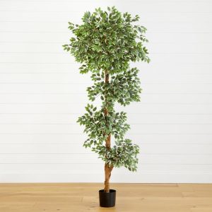 Ficus Trees | 6’ Variegated Ficus Tree Artificial Trees Ficus Trees