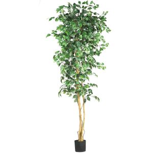 Ficus Trees | 7′ Ficus Silk Tree Artificial Trees Ficus Trees