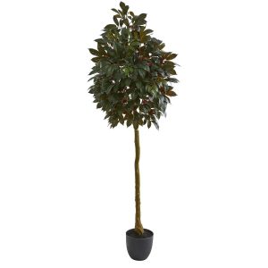 Ficus Trees | 75" Capensia Ficus Artificial Tree Artificial Trees Ficus Trees