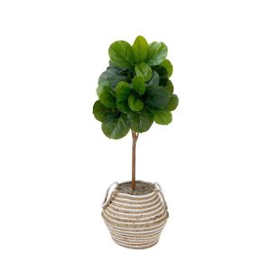 Fiddle Leaf Fig Trees | 3.5' Artificial Fiddle Leaf Fig Tree with Handmade Cotton & Jute Basket with Tassels DIY KIT Artificial Trees Fiddle Leaf Fig Trees