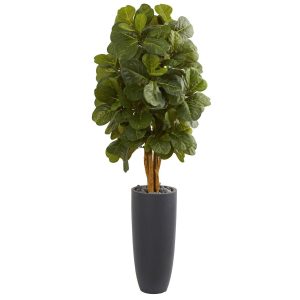 Fiddle Leaf Fig Trees | 5.5' Fiddle Leaf Artificial Tree in Gray Cylinder Planter Artificial Trees Fiddle Leaf Fig Trees