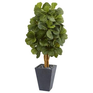 Fiddle Leaf Fig Trees | 5.5' Fiddle Leaf Artificial Tree in Slate Planter Artificial Trees Fiddle Leaf Fig Trees