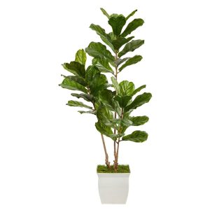 Fiddle Leaf Fig Trees | 5.5' Fiddle Leaf Artificial Tree in White Metal Planter(Indoor/Outdoor) Artificial Trees Fiddle Leaf Fig Trees