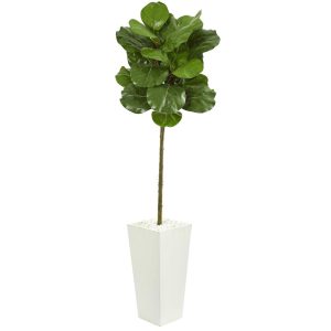 Fiddle Leaf Fig Trees | 5.5' Fiddle Leaf Artificial Tree in White Tower Planter Artificial Trees Fiddle Leaf Fig Trees