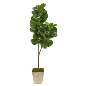 Fiddle Leaf Fig Trees | 5.5' Fiddle leaf Fig Artificial Tree in Country White Planter Artificial Trees Fiddle Leaf Fig Trees