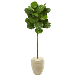 Fiddle Leaf Fig Trees | 5' Fiddle Leaf Artificial Tree in Sand Colored Planter Artificial Trees Fiddle Leaf Fig Trees