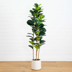 Fiddle Leaf Fig Trees | 6' Artificial Fiddle Leaf Tree in Decorative White Planter Artificial Trees Fiddle Leaf Fig Trees