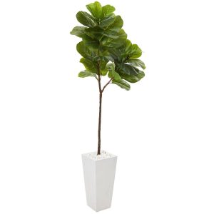 Fiddle Leaf Fig Trees | 68" Fiddle Leaf Artificial Tree in White Planter (Real Touch) Artificial Trees Fiddle Leaf Fig Trees