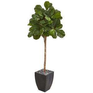 Fiddle Leaf Fig Trees | 71" Fiddle Leaf Fig Artificial Tree in Black Planter Artificial Trees Fiddle Leaf Fig Trees