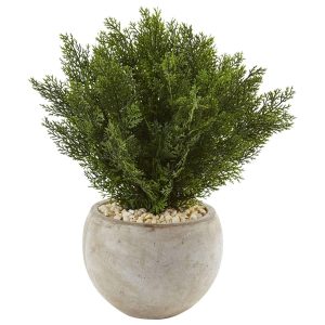 Floor Plants | 2' Cedar in Sand Colored Bowl Artificial Plants Floor Plants