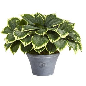 Floor Plants | 23" Variegated Hosta Artificial Plant in Gray Planter Artificial Plants Floor Plants