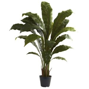 Floor Plants | 3.5’ Birdsnest Plant Artificial Plants Ferns