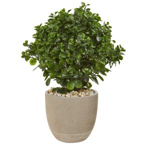 Floor Plants | 30" Peperomia Artificial Plant in Sand Stone Planter (Indoor/Outdoor) Artificial Plants Floor Plants