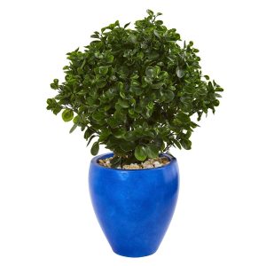 Floor Plants | 32" Peperomia Artificial Plant in Blue Planter(Indoor/Outdoor) Artificial Plants Floor Plants