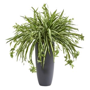 Floor Plants | 33'' Spider Artificial Plant in Cylinder Planter Artificial Plants Floor Plants