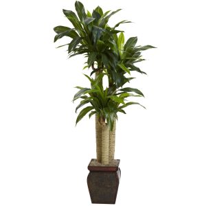 Floor Plants | 4.5' Cornstalk Draceana Vase (Real Touch) Artificial Plants Floor Plants