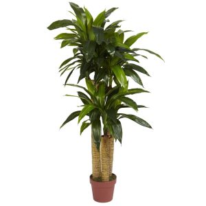 Floor Plants | 4′ Corn Stalk Dracaena Silk Plant (Real Touch) Artificial Plants Dracaena Trees