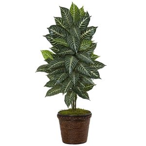 Floor Plants | 4' Zebra Plant in Coiled Rope Planter Artificial Plants Floor Plants