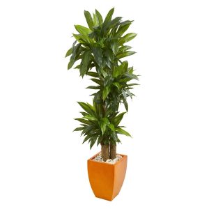 Floor Plants | 5.5' Dracaena Plant in Orange Square Planter (Real Touch) Artificial Plants Dracaena Trees