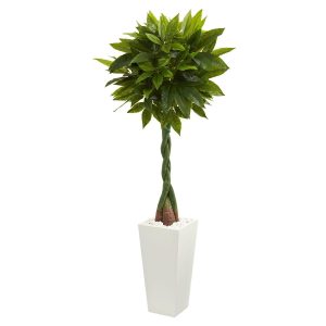 Floor Plants | 5.5' Money Artificial Tree in White Tower Planter (Real Touch) Artificial Plants Floor Plants