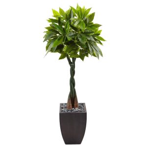 Floor Plants | 5' Money Tree in Black Square Planter Artificial Plants Floor Plants