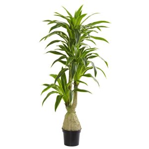 Floor Plants | 6.5' Dracaena Artificial Plant Artificial Plants Dracaena Trees