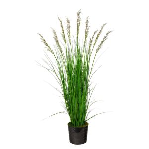 Floor Plants | 6' Grass Artificial Plant in Black Tin Planter with Faux Moss Artificial Plants Floor Plants