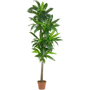 Floor Plants | 6’ Dracaena Silk Plant (Real Touch) Artificial Plants Dracaena Trees