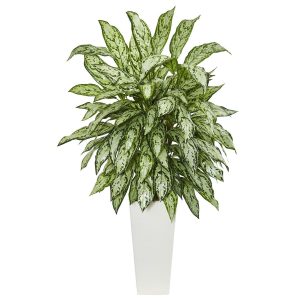 Floor Plants | Silver Queen Artificial Plant in White Tower Planter Artificial Plants Floor Plants