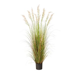 Grass | 5.5’ Plum Grass Artificial Plant Artificial Plants Floor Plants