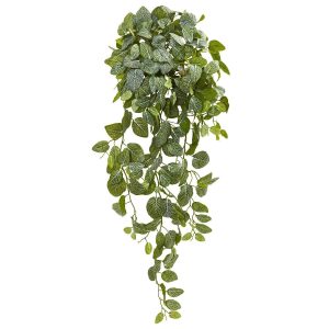 Hanging Plants | 36" Summer Artificial Fittonia Hanging Bush Plant (Set of 2) Artificial Plants Bushes