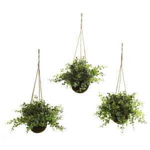 Hanging Plants | Eucalyptus, Maiden Hair & Berry Hanging Basket (Set of 3) Artificial Plants Hanging Plants