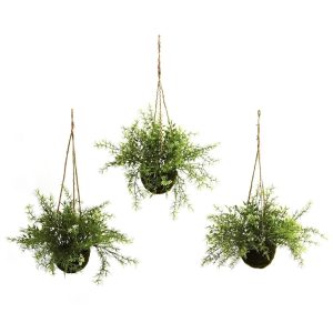 Hanging Plants | Ruscus, Sedum & Springeri Hanging Basket (Set of 3) Artificial Plants Hanging Plants