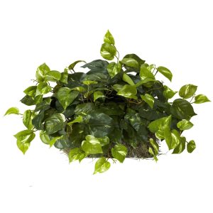 Ledge Plants | Pothos Set on Foam Sheet Silk Plant Artificial Plants Ledge Plants