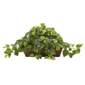 Ledge Plants | Pothos w/Ledge Basket Artificial Plants Ledge Plants