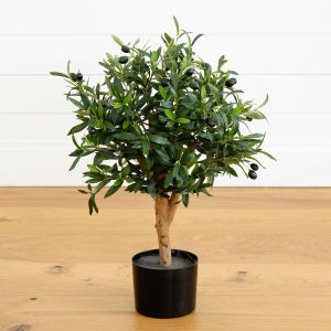 Olive Tree Collection | 2' Olive Artificial Tree Artificial Trees Olive Tree Collection