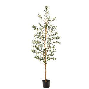 Olive Tree Collection | 5.5' Olive Artificial Tree Artificial Trees Olive Tree Collection