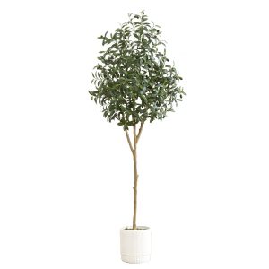 Olive Tree Collection | 6' Artificial Olive Tree with White Decorative Planter Artificial Trees Olive Tree Collection