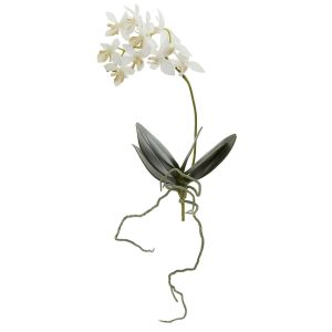 Orchids | 13" Mini Orchid Phalaenopsis Artificial Flower (Set of 6) Artificial Flowers Orchids