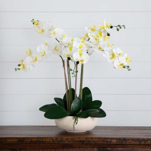 Orchids | 23" Artificial Phalaenopsis Orchid Arrangement in White Ceramic Planter (Real Touch) Artificial Flowers Orchids