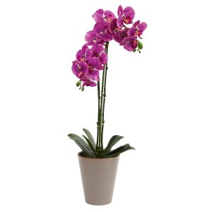 Orchids | 24" Speckled Phalaenopsis Orchid Artificial Arrangement Artificial Flowers Orchids