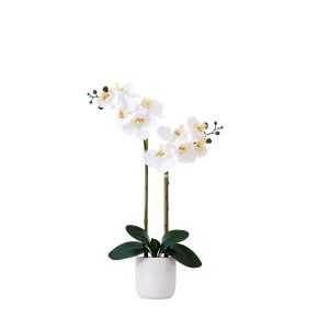 Orchids | 26" Artificial Real to Touch Double Orchid Phalaenopsis with Decorative Vase Artificial Flowers Orchids