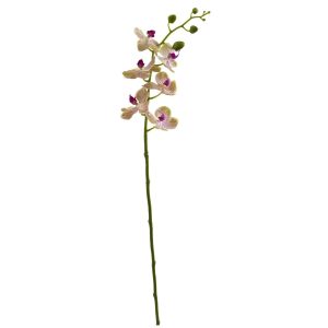 Orchids | 29" Phalaenopsis Orchid Artificial Flower (Set of 4) Raspberry Artificial Flowers Orchids