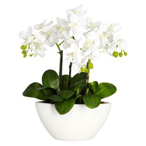 Orchids | Artificial Phalaenopsis Arrangement Artificial Flowers Orchids