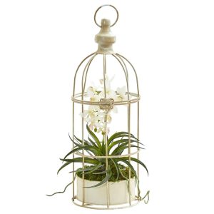 Orchids | Mini Phalaenopsis Orchid Artificial Arrangement in Bird Cage Artificial Flowers Orchids